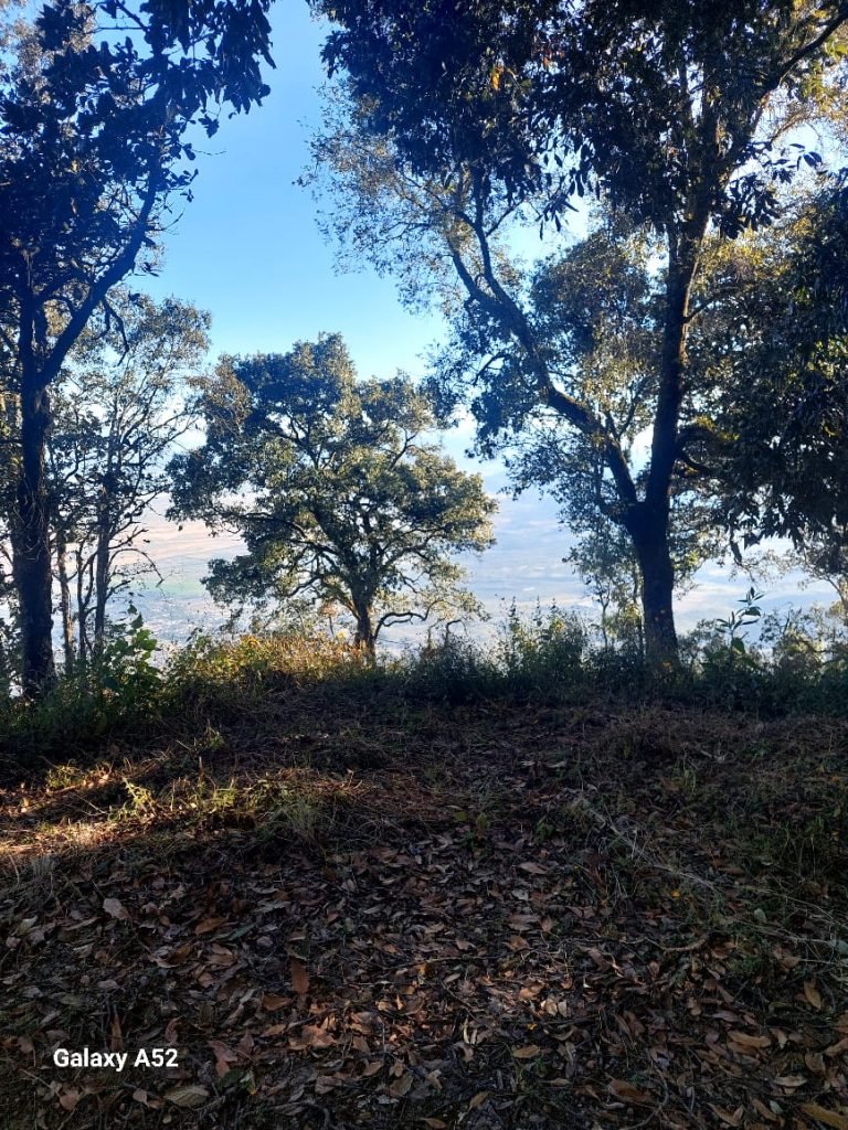 Hacienda Mirador